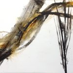 River Reeds 1